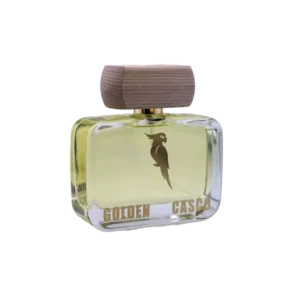 Aurora mist